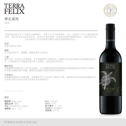 泰勒飞力士酒庄  幸运龟系列 西拉干红葡萄酒 商品图2