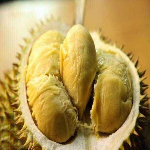 金枕榴莲（生鲜类商品当日取货，过期按取货日价格） 商品图0