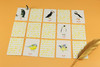 记忆da比拼：给鸟儿配对（鸟类科普游戏卡片，轻松锻炼专注力和观察力） 商品缩略图3