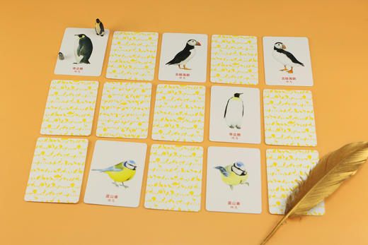 记忆da比拼：给鸟儿配对（鸟类科普游戏卡片，轻松锻炼专注力和观察力） 商品图3