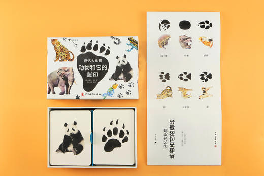 记忆da比拼：动物和它的脚印（2—6岁幼儿亲子互动益智启蒙游戏卡， 小手撕不烂，圆角设计更安全， 25种动物和它们的脚印， 锻炼观察力、想象力和记忆力） 商品图2