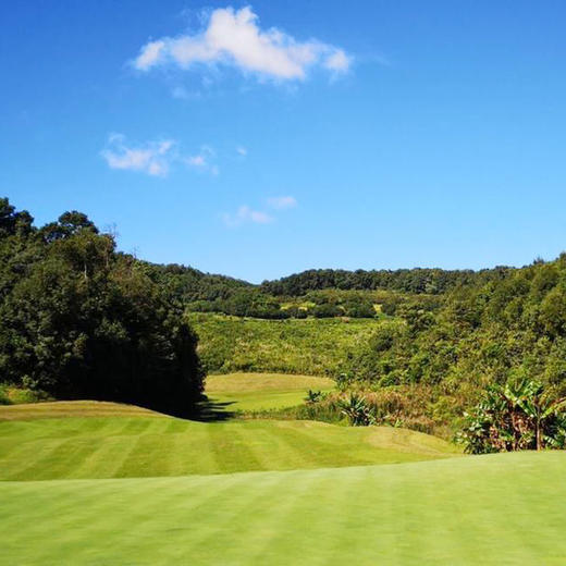 （下架/封场）西双版纳野象高尔夫俱乐部 Xishuangbanna Wild Elephant Golf Club | 西双版纳高尔夫球场 | 云南 | 中国 商品图1