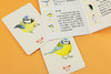 记忆da比拼：给鸟儿配对（鸟类科普游戏卡片，轻松锻炼专注力和观察力） 商品缩略图5