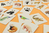 记忆da比拼：动物和它的脚印（2—6岁幼儿亲子互动益智启蒙游戏卡， 小手撕不烂，圆角设计更安全， 25种动物和它们的脚印， 锻炼观察力、想象力和记忆力） 商品缩略图5