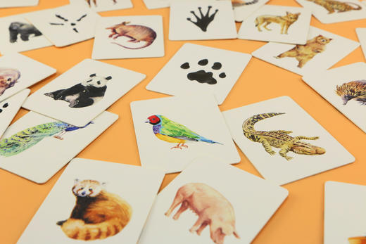 记忆da比拼：动物和它的脚印（2—6岁幼儿亲子互动益智启蒙游戏卡， 小手撕不烂，圆角设计更安全， 25种动物和它们的脚印， 锻炼观察力、想象力和记忆力） 商品图5