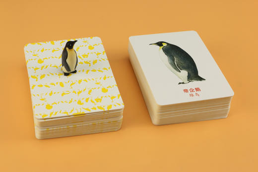 记忆da比拼：给鸟儿配对（鸟类科普游戏卡片，轻松锻炼专注力和观察力） 商品图2