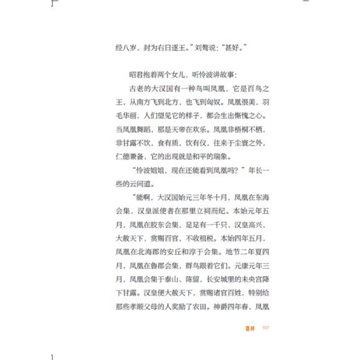 王昭君 商品图3