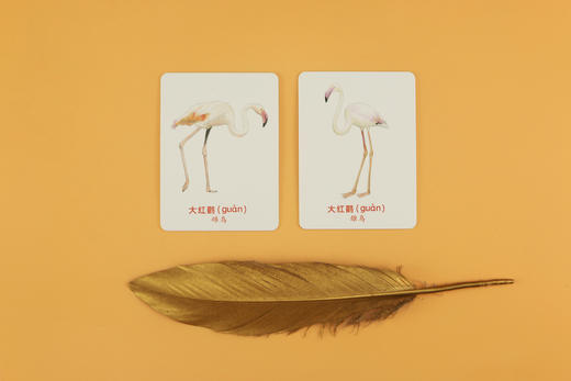 记忆da比拼：给鸟儿配对（鸟类科普游戏卡片，轻松锻炼专注力和观察力） 商品图4