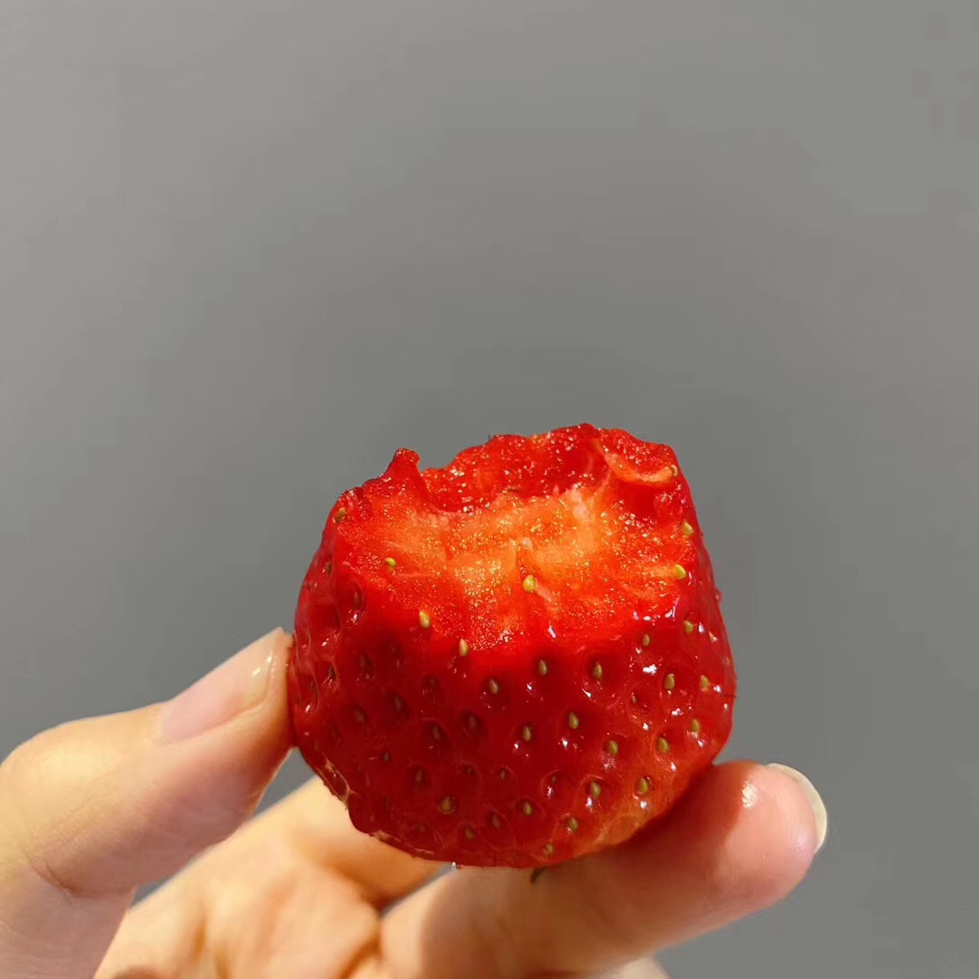 【丹东99草莓】明星产品，一定要尝一尝，娇艳欲滴，草莓娇嫩，部分果子有磕碰属正常现象，请勿介意