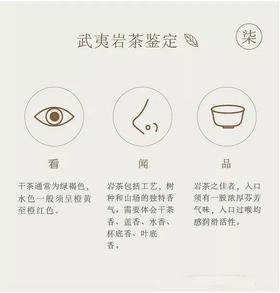 八张图入门武夷岩茶