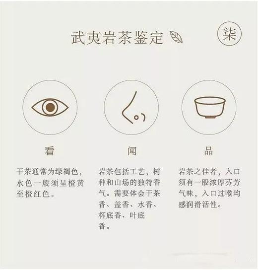 八张图入门武夷岩茶 商品图0