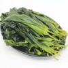 海带苗 海洋蔬菜🔥海带苗，口感脆爽，超低热量，减脂必备~ 商品缩略图0