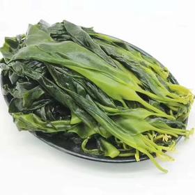 海带苗 海洋蔬菜🔥海带苗，口感脆爽，超低热量，减脂必备~