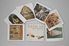 VATICAN ART DECK/梵蒂冈艺术卡片/100张 商品缩略图2