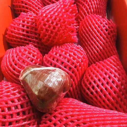 【海南黑金刚莲雾】 商品图0