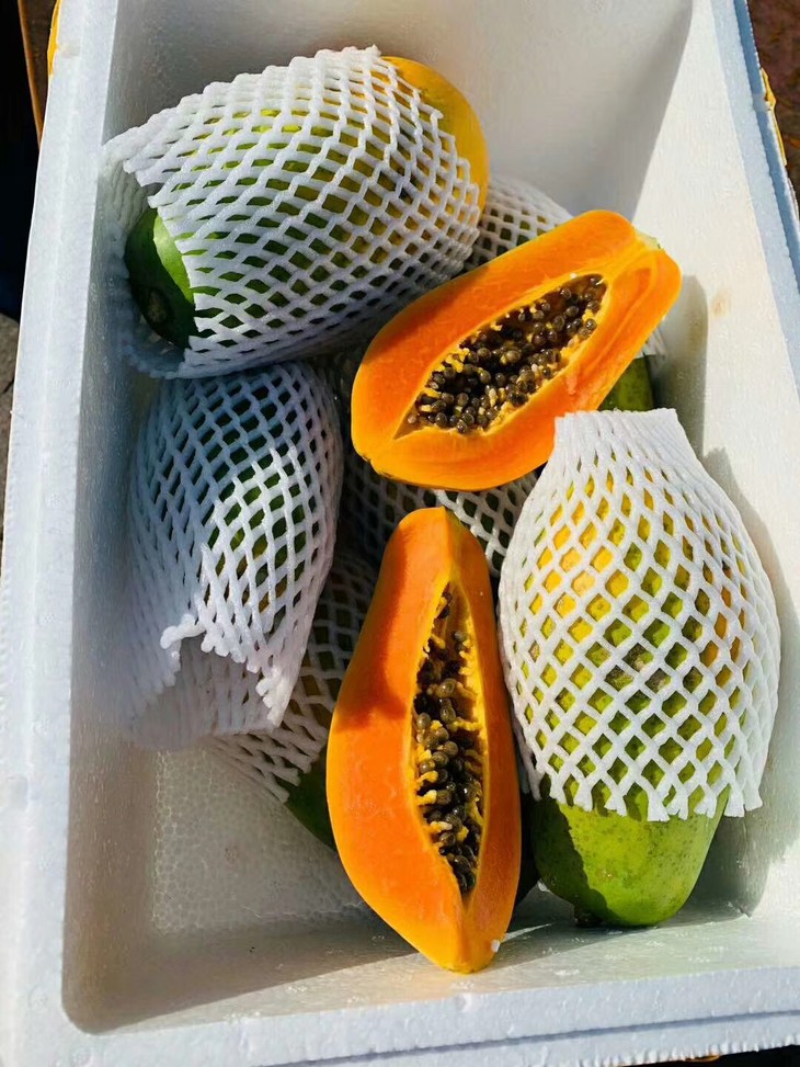 配送非转基因海南黄金木瓜