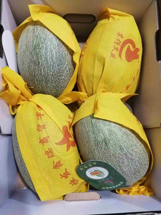 香妃小蜜1个253斤左右