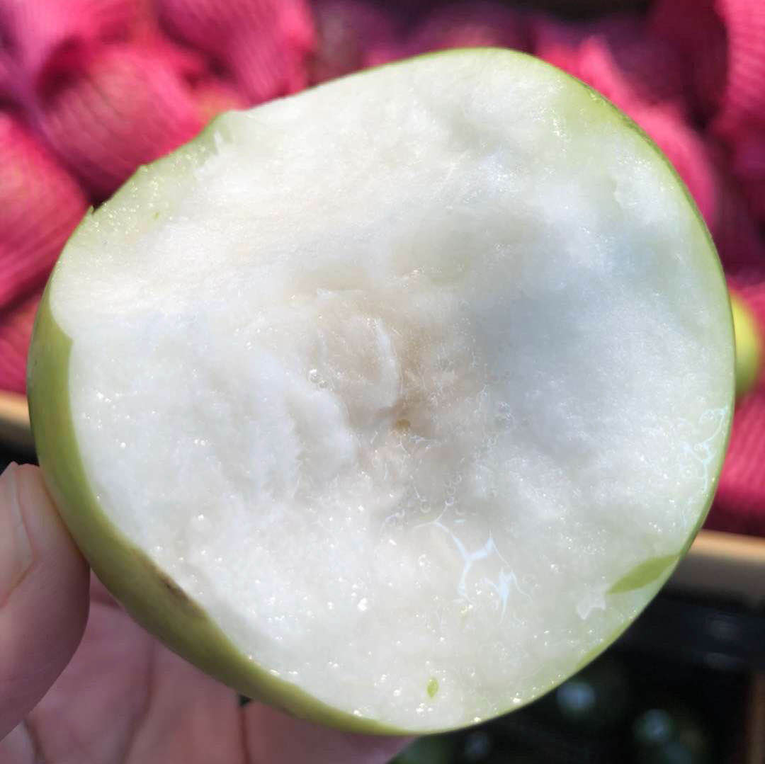 苹果枣来袭，不会吃枣子的你也会被这款所吸引