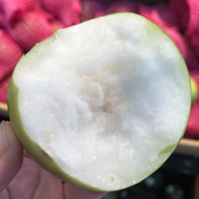 苹果枣来袭，不会吃枣子的你也会被这款所吸引