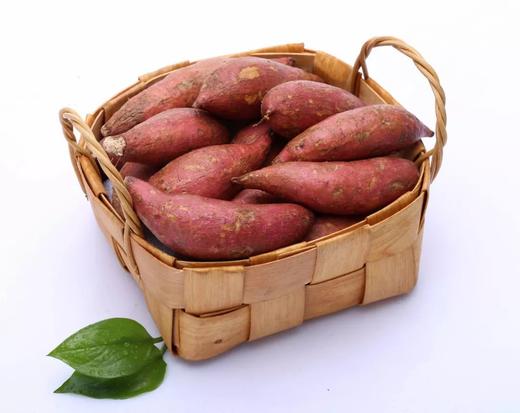 红薯3斤 商品图0