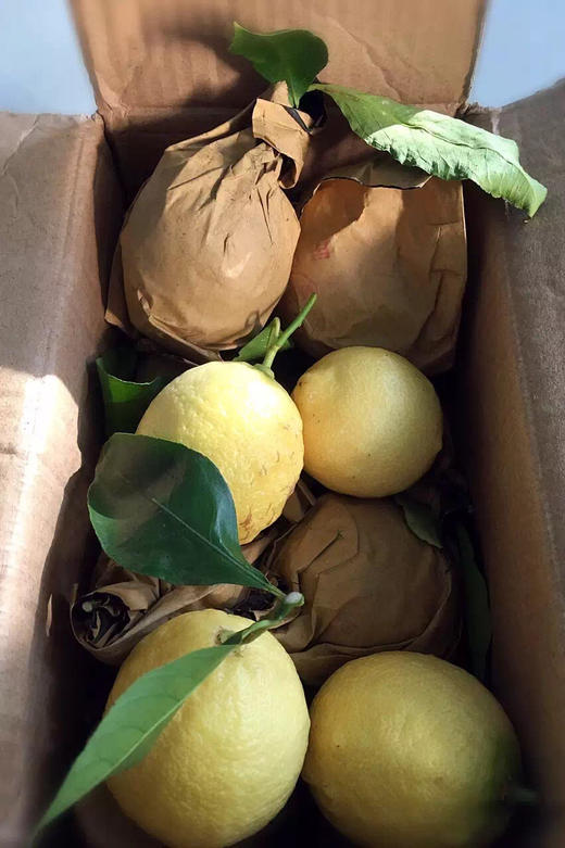 【柠檬磅蛋糕】快递 商品图8