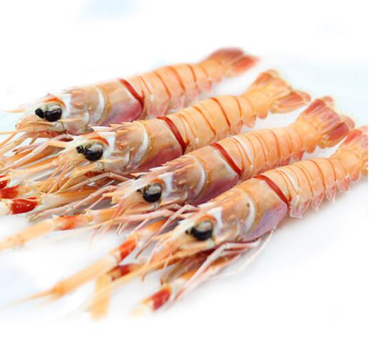 鲜驿达·海外直采南极深海刺身级海鳌虾1号 商品图1