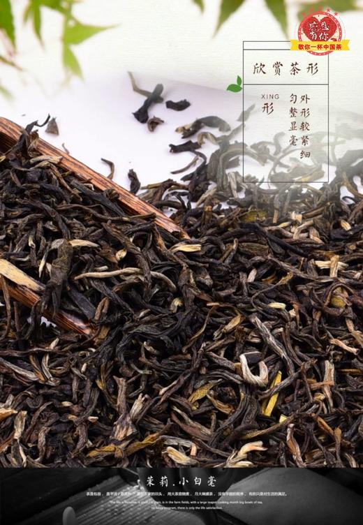 茉莉小白毫(散装茶) 商品图1