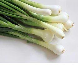 本地葱 约250g/份 检测合格，无公害