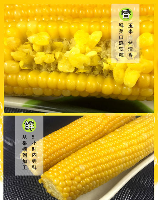 「自营」都市惠独家供应稀有小黄粘鲜食玉米棒 商品图4