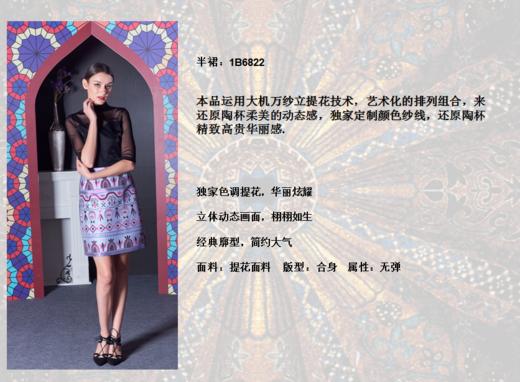 1B6822--紫色半裙--幸运的节律--《智慧之光——波斯艺术》 商品图1