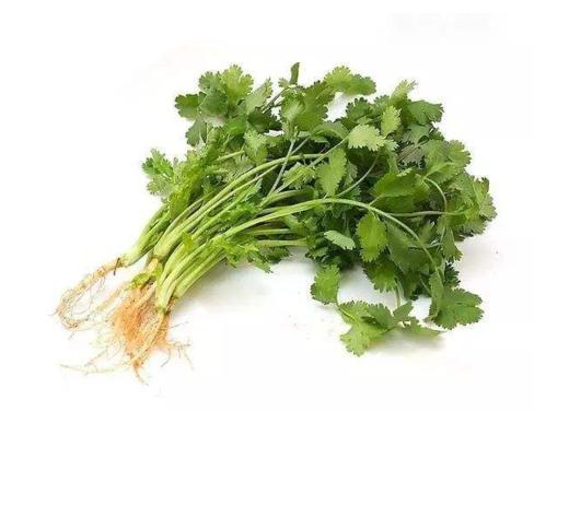 赞字村香菜 商品图0