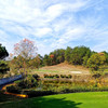 彩虹谷-黄山松柏高尔夫乡村俱乐部 Huangshan Songbai Golf Club | 黄山高尔夫球场 | 安徽高尔夫球场 | 中国 商品缩略图3