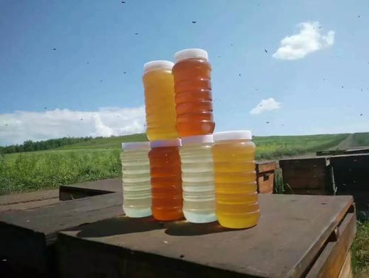 蜂蜜、花粉、野放采蜂 不掺糖。 商品图7