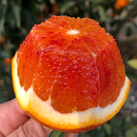 富含花青素·重庆李小橙玫瑰香特种血橙  大山无污染有机生态种植  血橙中的“褚橙” 商品图0