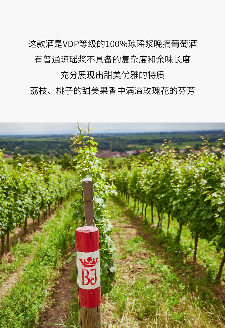 vdp巴塞曼乔丹晚摘琼瑶浆半甜白葡萄酒bassermannjordan
