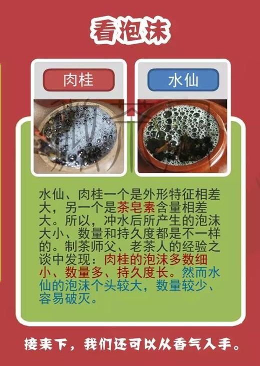 一分钟教你快速辨别“水仙“，”肉桂”！ 商品图0