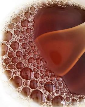 武夷岩茶的“水路”是什么？