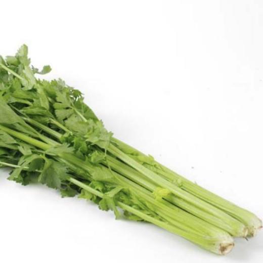 芹菜每公斤 商品图0
