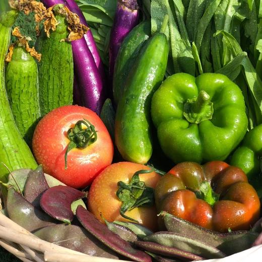 新客体验套餐（每天限量3份） 商品图1