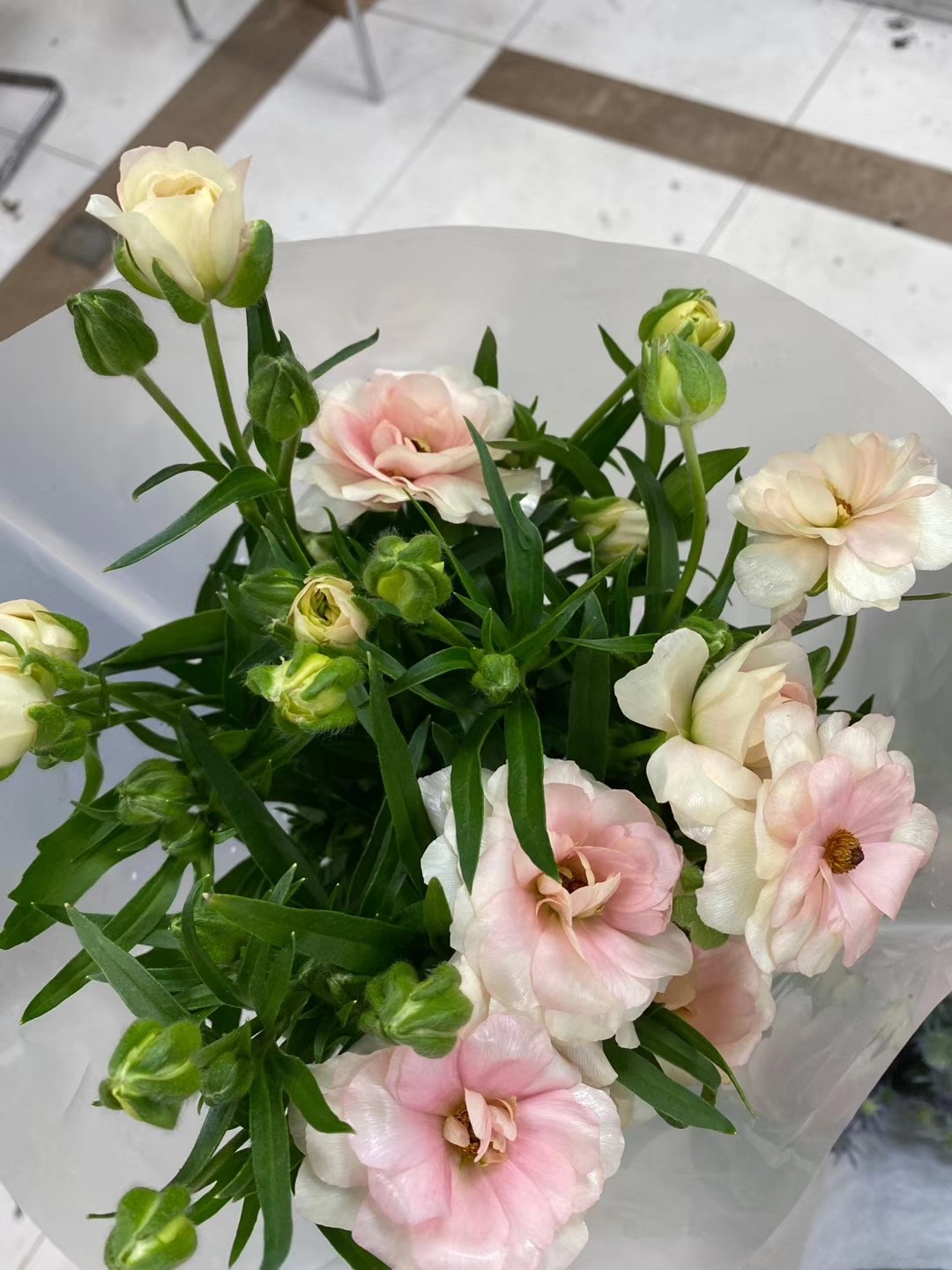 配花-蝴蝶洋牡丹-香槟色-5支