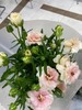 配花-蝴蝶洋牡丹-香槟色-5支 商品缩略图0
