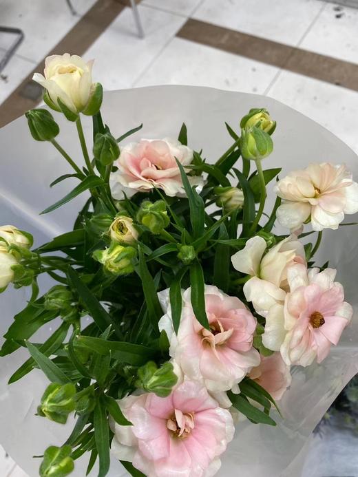 配花-蝴蝶洋牡丹-香槟色-5支 商品图0