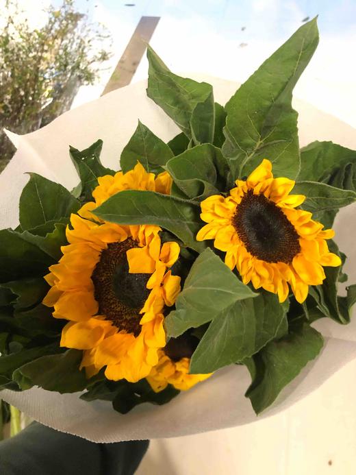 配花-昆明向日葵-10支/扎 商品图0