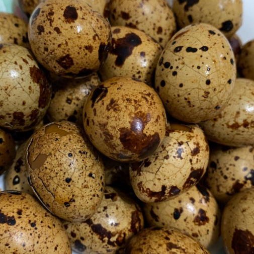 卤鹌鹑蛋 约450克