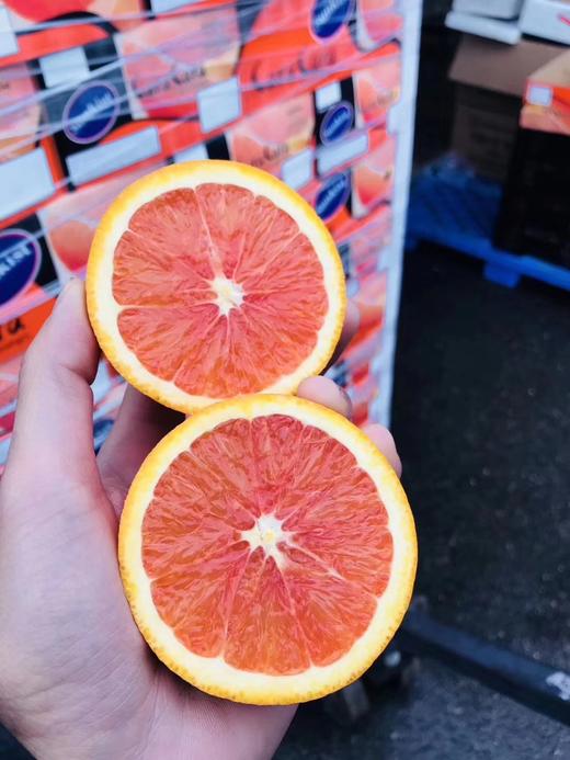 全国包邮美国新奇士3110血橙浓郁的果味及香味纤维细汁水足酸酸甜甜