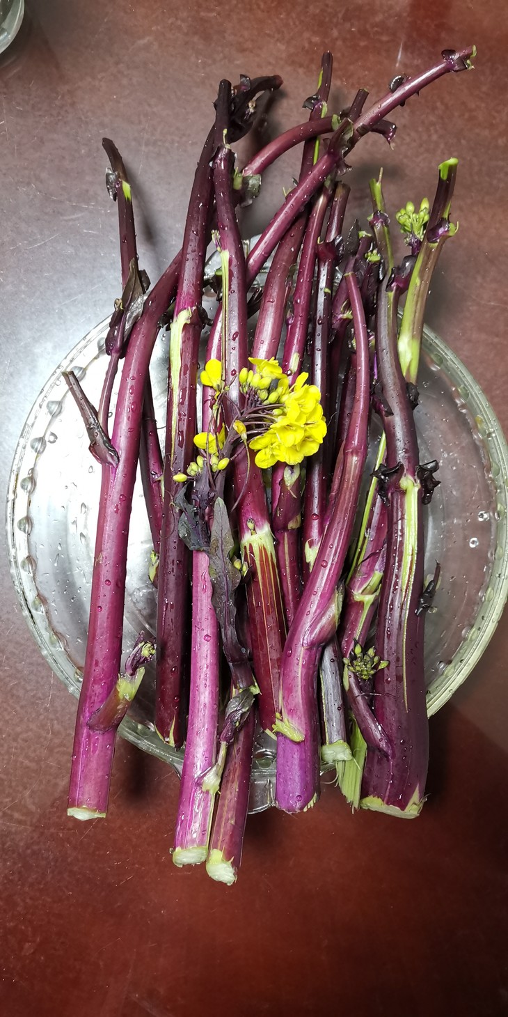 新鲜紫菜苔2斤盒装新鲜嫩苔