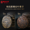 【38女王节预售】澜沧古茶紫龙玉饼普洱茶生茶熟茶云南紫芽茶叶送礼盒装迷你小茶饼 商品缩略图2