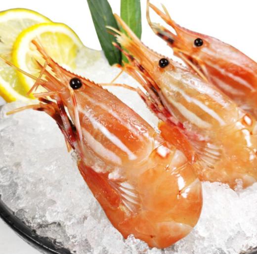 鲜驿达·野生船捕虾中贵族牡丹虾 商品图0