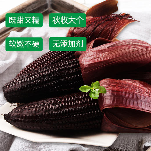 东方天谷带皮黑玉米220g 商品图1