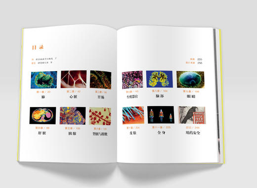 《BBC人体如何工作：照顾好你的身体》 商品图2